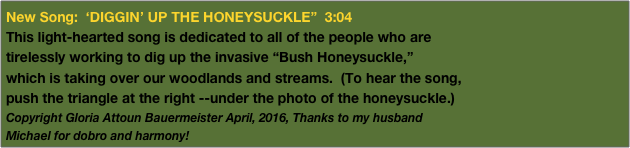 New Song:  ‘DIGGIN’ UP THE HONEYSUCKLE”  3:04
This light-hearted song is dedicated to all of the people who are 
tirelessly working to dig up the invasive “Bush Honeysuckle,”  
which is taking over our woodlands and streams.  (To hear the song,
push the triangle at the right --under the photo of the honeysuckle.)
Copyright Gloria Attoun Bauermeister April, 2016, Thanks to my husband 
Michael for dobro and harmony!
Copyright-Gloria Attoun Bauermeister April, 2016￼